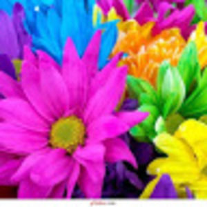 Meet your Posher, Roxana